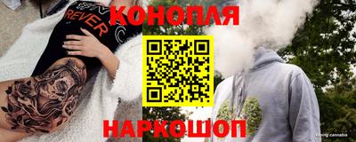сатива Бузулук