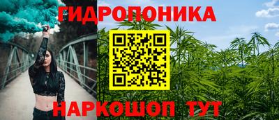 сатива Бузулук
