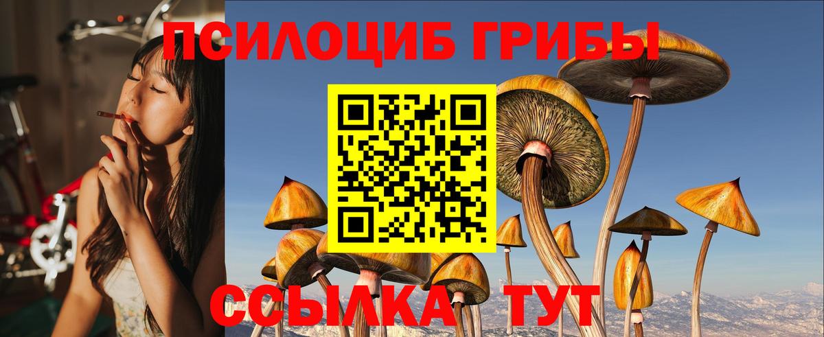 Псилоцибиновые грибы MAGIC MUSHROOMS  Вход с VPN  Лянтор 